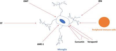 Editorial: Insights on neuroinflammatory response by microglia-targeted pharmacology